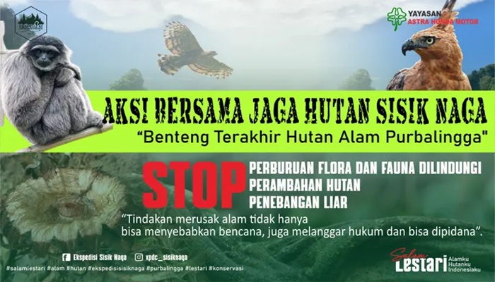 Pecinta Alam Gelar Aksi Jaga Hutan Sisik Naga, Usai Elang Langka Ditembak Pemburu