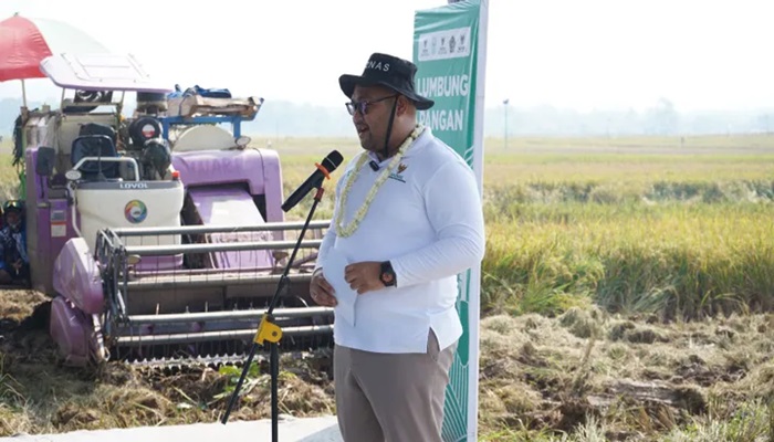 Panen Raya Program Lumbung Pangan Baznas RI di Purbalingga