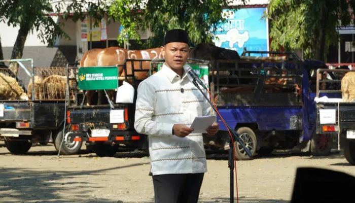 Purbalingga Distribusikan 1.446 Hewan Kurban di Idul Adha 1446 H: Bukti Sinergi Lintas Lembaga dan Kepedulian Sosial