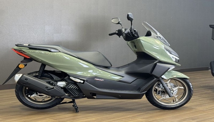 Honda NS150GX