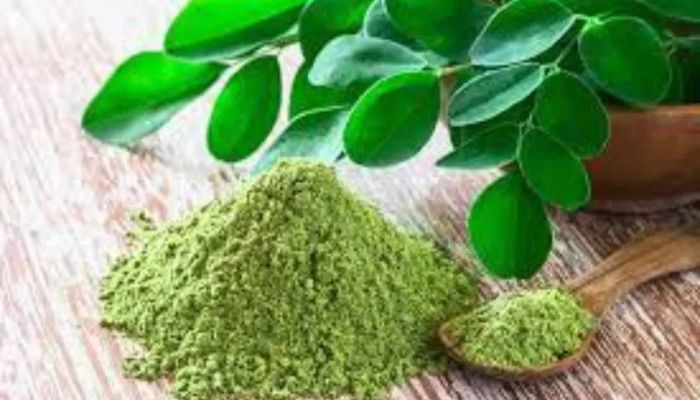 Rahasia Daun Kelor Turunkan Gula Darah: Manfaat, Kandungan, dan Cara Membuat Teh Herbal Alami