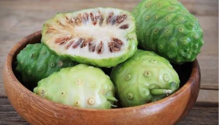 7 Manfaat Buah Mengkudu untuk Kesehatan