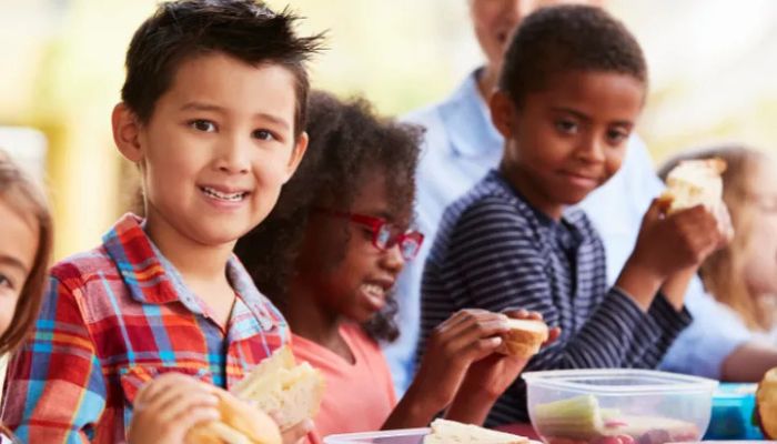 Bosan Nasi? Ini 5 Ide Bekal Sehat dan Lezat untuk Anak TK yang Bikin Lahap Makan di Sekolah!
