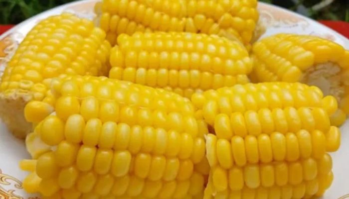 5 Manfaat Air Rebusan Jagung untuk Kesehatan yang Jarang Diketahui