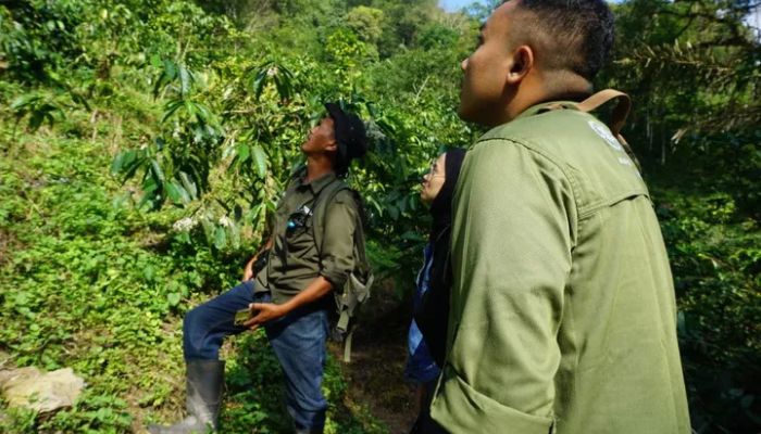 Wisata Unik di Kendal: Birdwatching Burung Langka & Edukopi ala Pokdarwis Gunungsari, Pengalaman yang Bikin Ketagihan!