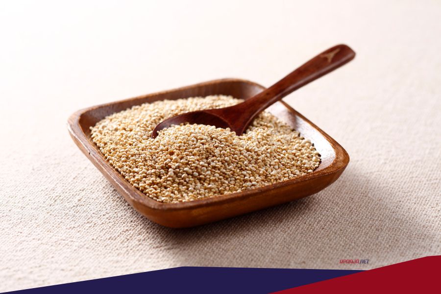 10 Makanan Tinggi Protein yang Mendukung Berat Badan Sehat.