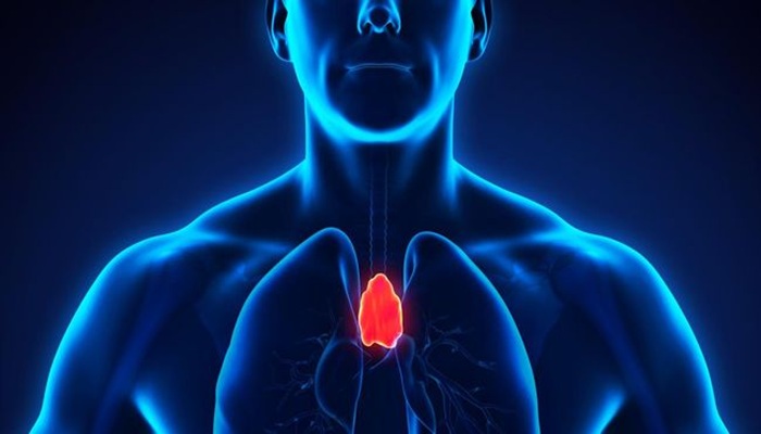 Mengenal Kanker Timus, Kanker Langka yang Tumbuh di Balik Tulang Dada