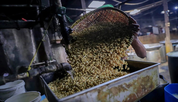 Kedelai Tak Mahal! Kementan Pastikan Harga Rp 11.500/Kg, Tahu Tempe Tetap Aman dan Stabil